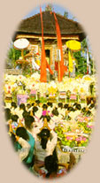 Annual Temple Festifal