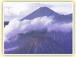 古代ジャワ王国の遺跡訪問と聖峰ブロモ山登山